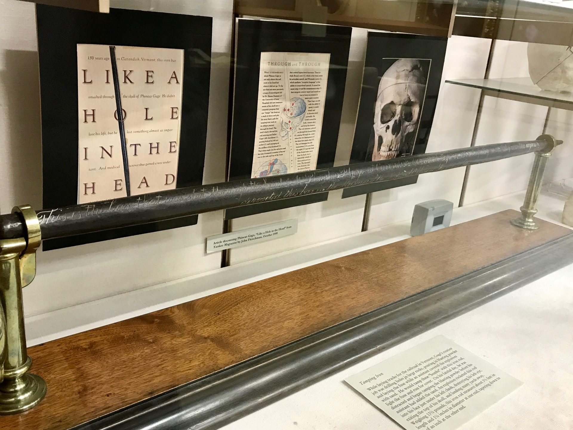Phineas Gage memorabilia, Warren Anatomical Museum, Boston (by Luca Ambrosio) - 04.jpg